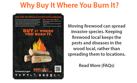 image for Frequently Asked Questions to Why Buy It Where You Burn It